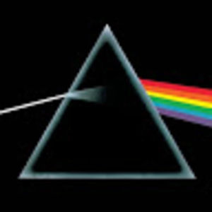 Meet your Posher, Ningyi